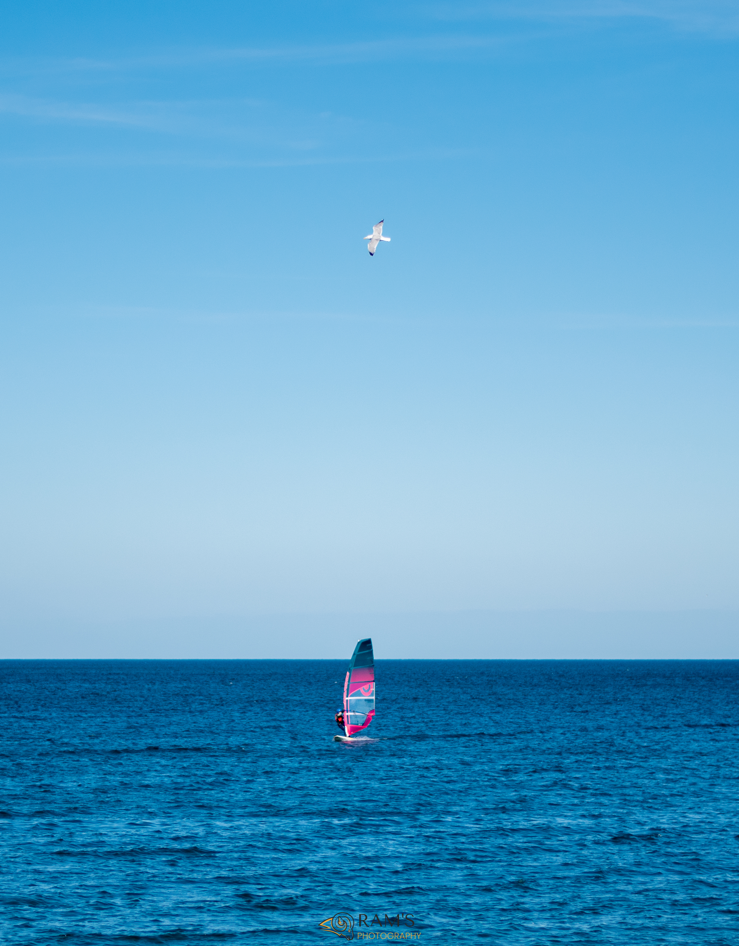 A surfer enjoying the calm seas with a seagull above